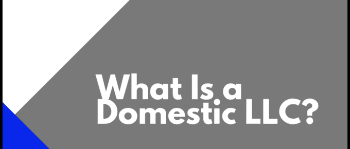 What Is a Domestic LLC?