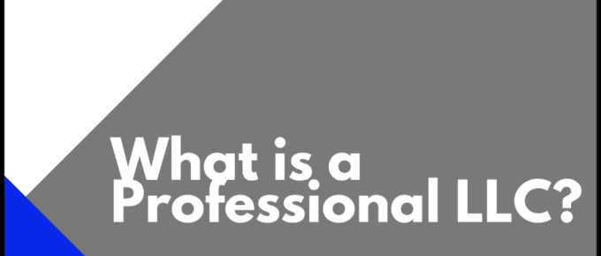 What is a Professional LLC