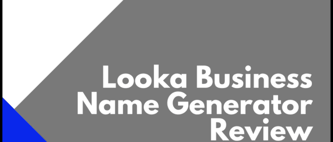 Looka Business Name Generator Review